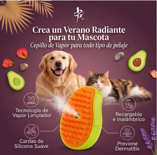 Patika Cepillo a Vapor
