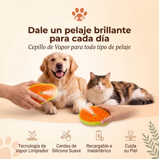Cepillo a Vapor Patika